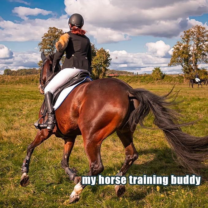 4pcs Horse Training Flag, 5.25 Feet Red Telescopic Flag Poles with 17.1x17.1inch Retractable Horse Training Equipment Horse Flag (Four Colors)