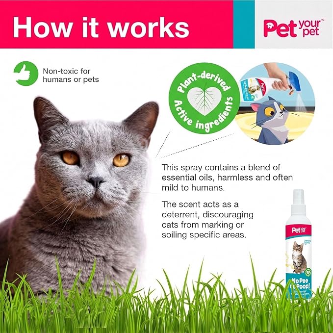 Cat Potty Training Spray No Pee No Poop, 8 Fl Oz, Non Toxic Spray for Cats Only, Natural Pee Deterrent, Stops Urine Marking and Pooping, Indoor Outdoor Keep Off