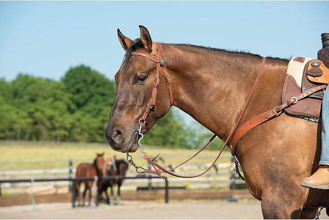 Weaver Leather unisex adult western-equestrian-style Stacy Protack b band, Brown, One Size US