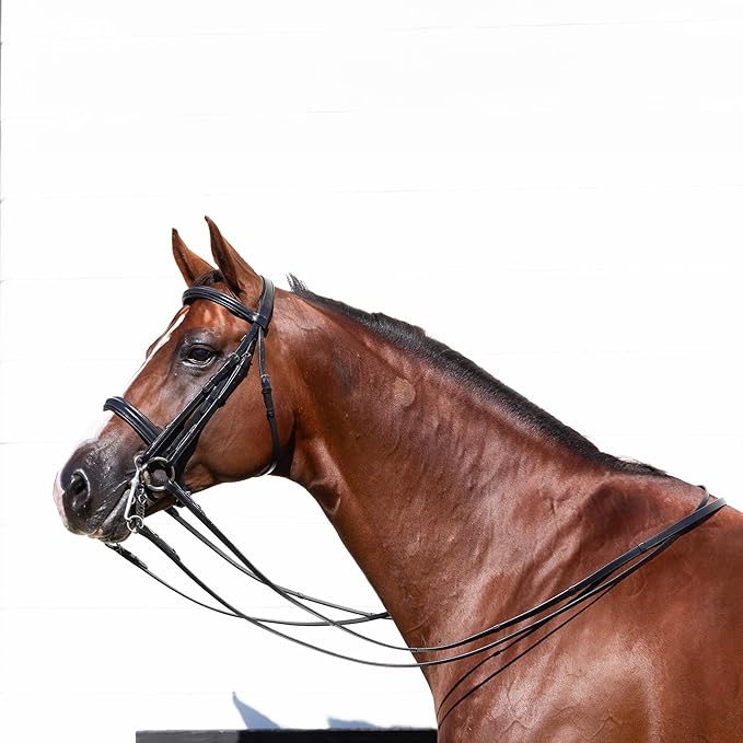 Equinavia Saga Double Bridle w/Reins