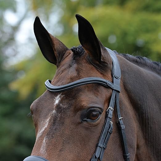 Collegiate ComFiTec Vogue Anatomical Bridle, Brown, Warmblood