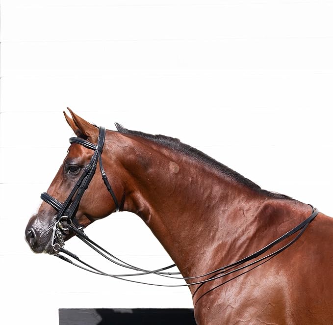 Equinavia Saga Double Bridle w/Reins