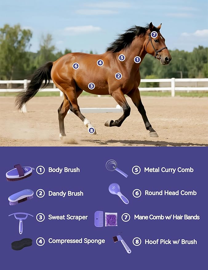 Horse Grooming Kit, 9 Piece Grooming Brush Set with Silicone Curry Comb for Bathing & Shedding Sugar Taro