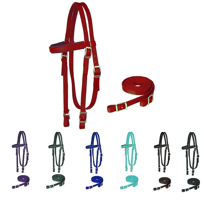 Majestic Ally Horse Headstall with Reins, Nylon Padded Browband, Multiple Colors (Red, Full)