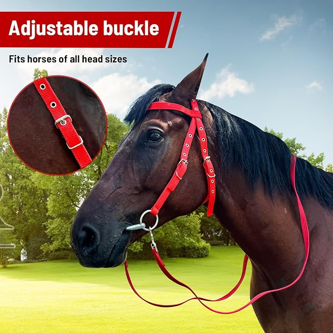 Horse Bridle Bridle Rein Harness Adjustable Horse Bridle Headstall Equestrian Reins