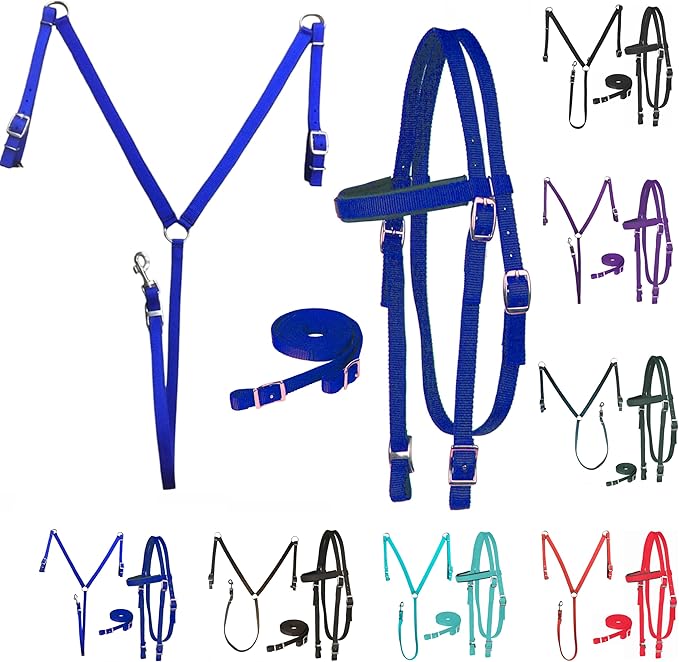 Majestic Ally Nylon Padded Equestrian Browband Headstall, Reins & BreastCollar Set for Horse- Full