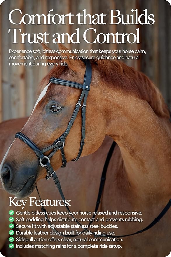 HORZE Denver Soft Leather English Side Pull Bitless Bridle for Horses | Web Reins Included