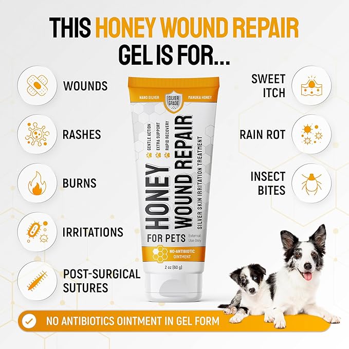 Dog Wound Care with Manuka Honey & Colloidal Silver for Scratches & Skin Irritations – Cat & Dog Hot Spot Treatment Gel Works as Honey Rapid Wound Repair for Horses – Suits All Pets – 2-Oz