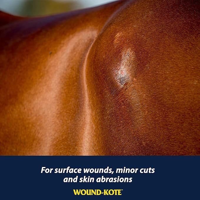 Farnam Wound-Kote Blue Lotion Spray Horse Wound Care for use on Horses and Dogs, Antiseptic Properties, for Minor Wounds, Cuts and Sores, 5 Oz