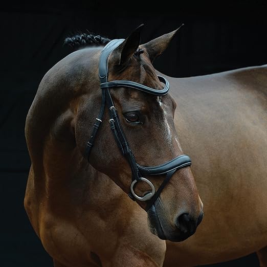 Collegiate ComFiTec Vogue Anatomical Bridle, Black, Warmblood