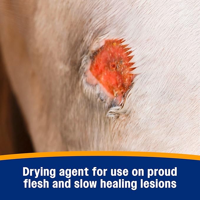 Farnam Wonder Dust Wound Powder, Blood Coagulant for Horses and Show Stock, For Use on Proud Flesh, Granulated Tissue, 4 Ounces