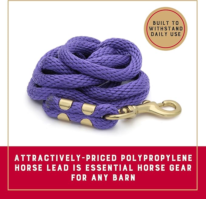Weaver Equine Performance Lead Rope, 8' Horse Value Rope with Brass Plated 225 Snap, Soft Comfort Grip, Barn Horse Tack for Daily Use