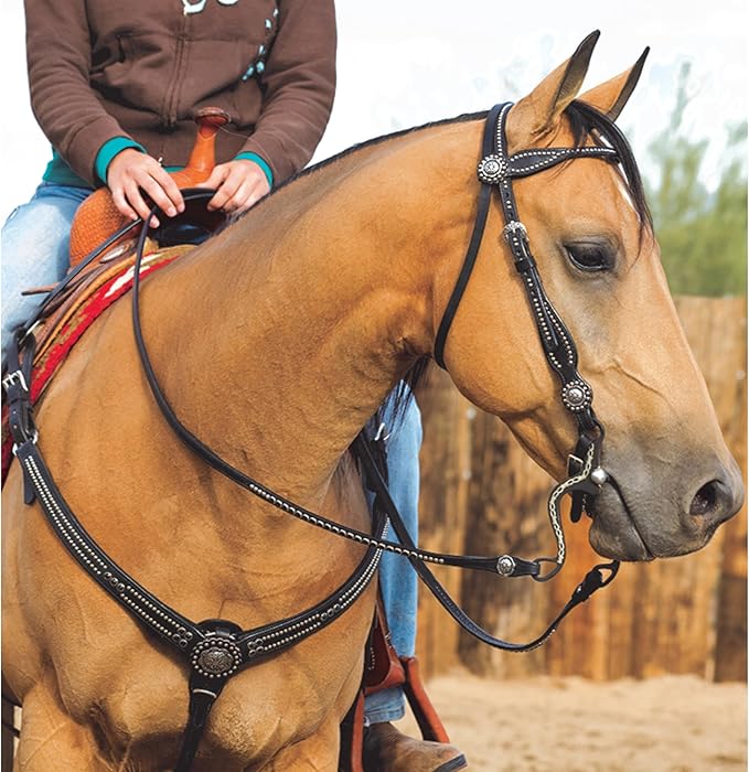 Weaver Leather unisex adult Browband Headstall, Black, Horse US