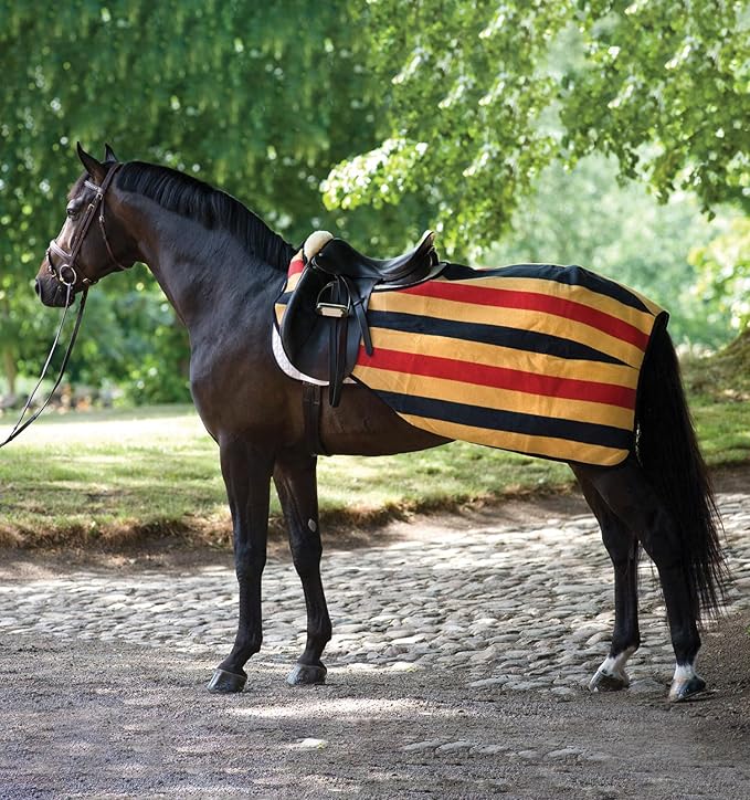 Horseware® Rambo® Competition Sheet