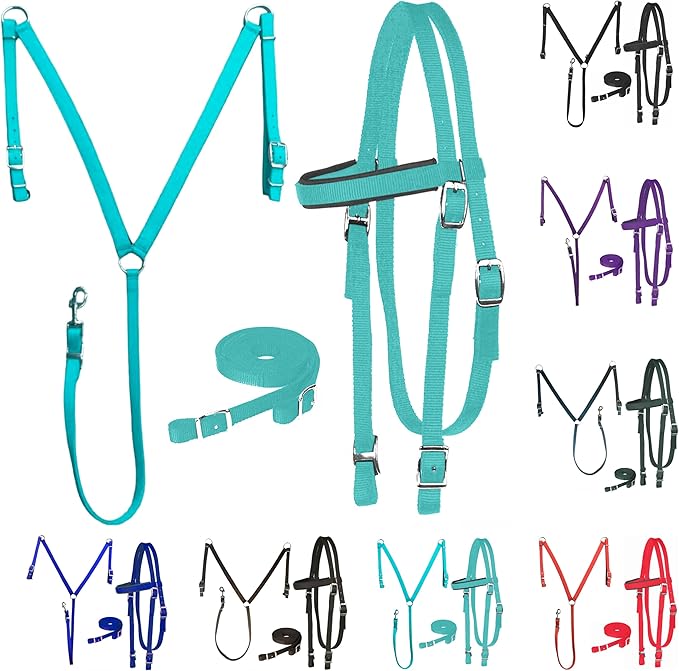 Majestic Ally Nylon Padded Equestrian Browband Headstall, Reins & BreastCollar Set for Horse- Full