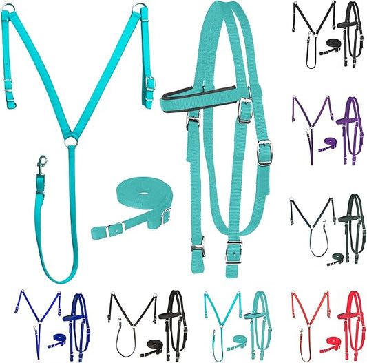 Majestic Ally Nylon Padded Equestrian Browband Headstall, Reins & BreastCollar Set for Horse- Full
