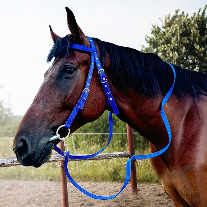 Horse Bridle Bridle Rein Harness Adjustable Horse Bridle Headstall Equestrian Reins