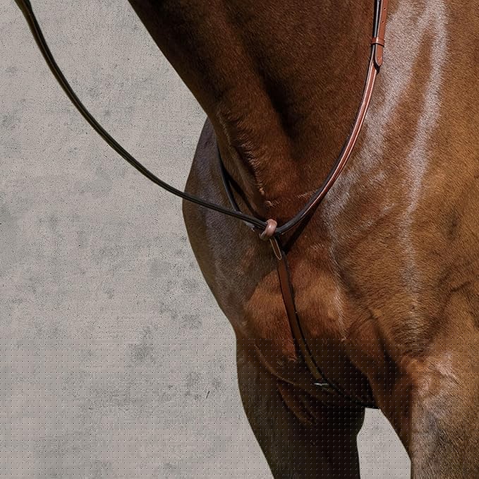 Suffolk Raised Standing Martingale, Color: Brown, Size: Horse-F/S