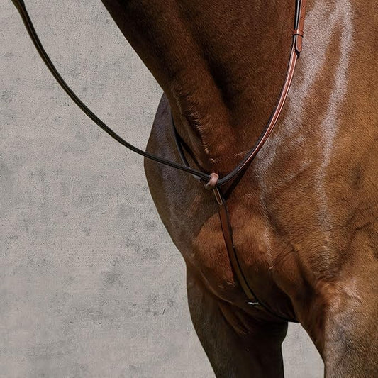 Suffolk Raised Standing Martingale, Color: Brown, Size: Horse-F/S