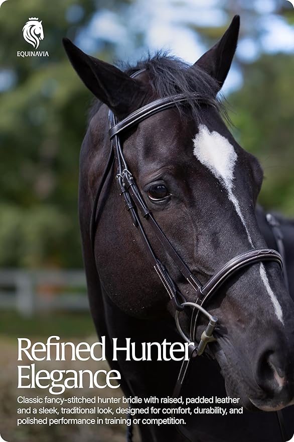 Equinavia Saga Adjustable Padded Fancy Stitched Hunter Bridle with Reins