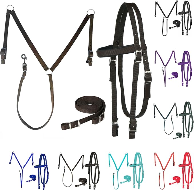Majestic Ally Nylon Padded Equestrian Browband Headstall, Reins & BreastCollar Set for Horse- Full