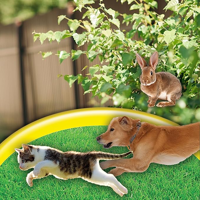 Bonide Go Away! Rabbit,Dog,& Cat Repellent Granules,1 lb Ready-to-Use,Keep Dogs Off Lawn,Garden,Mulch & Flower Beds,(Pack of 12)