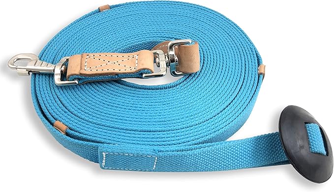 35' Flat Cotton Web Lunge Line with Bolt Snap & Rubber Stop - By Southwestern Equine (35', Turquoise)