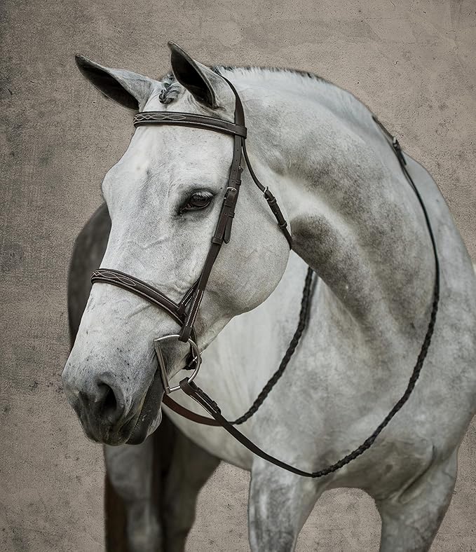 Suffolk Hunter Fancy-Stitched Bridle, Color: Fancy Stitched, Size: Oversize-O/S