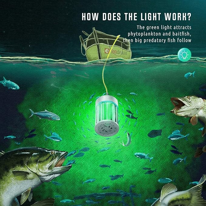 Ultra-Bright Underwater Fishing Light, 110V & 12V Green LED Submersible Light Attractants for Docks, Boats or Kayaks, IP68 Rated for Fresh & Salt Water (30ft Cable)