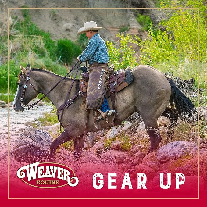 Weaver Leather Turquoise Diamond Beaded Horse Headstall, Leather Headstalls for Horses for Trail Riding, Durable Equine Supplies, Dark Oil