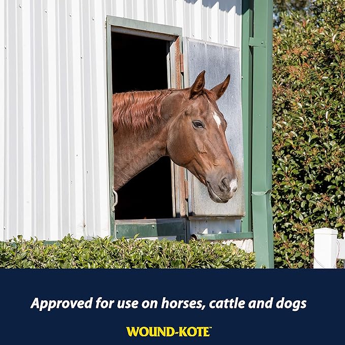 Farnam Wound-Kote Blue Lotion Spray Horse Wound Care for use on Horses and Dogs, Antiseptic Properties, for Minor Wounds, Cuts and Sores, 5 Oz