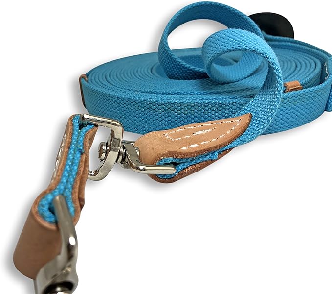 35' Flat Cotton Web Lunge Line with Bolt Snap & Rubber Stop - By Southwestern Equine (35', Turquoise)