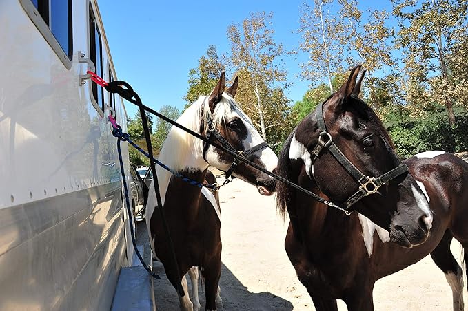 Injuries Preventing Horse Tether Tie - Portable & Reusable Breakaway Horse Tie - Safety for You & Your Horse - Quick Release Horse Tie - 5 Customizable Loop Setting - 2pcs (Red)