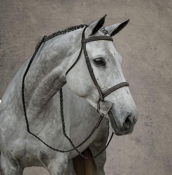 Dover Saddlery Suffolk Hunter Fancy-Stitched Bridle, Color: Fancy Stitched, Size: Cob-C/S