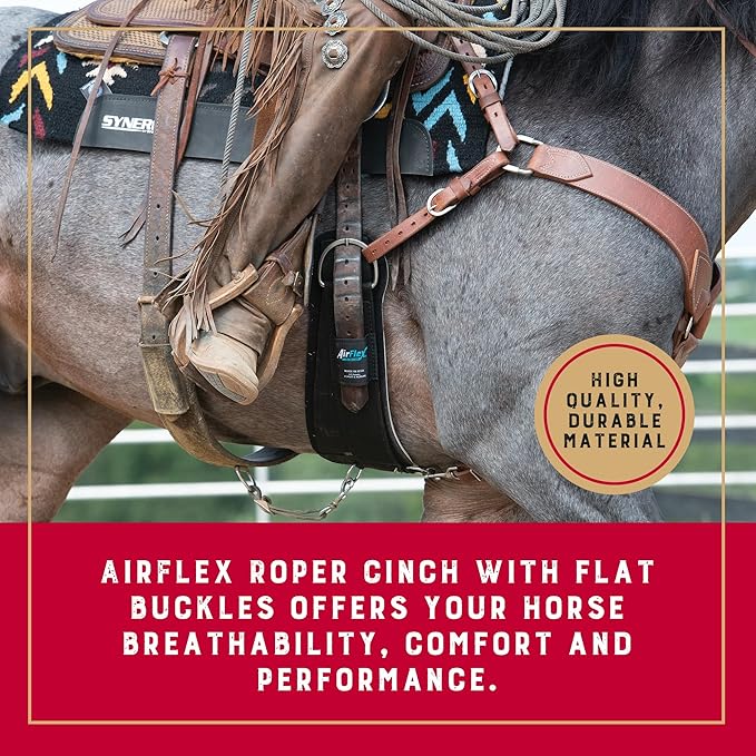 Weaver Equine AirFlex ‎Roper Horse Cinch, Anti-Slip Nylon Webbing Saddle Cinch Girth with Flat Buckle, Western Horse Riding Supplies, ‎Black