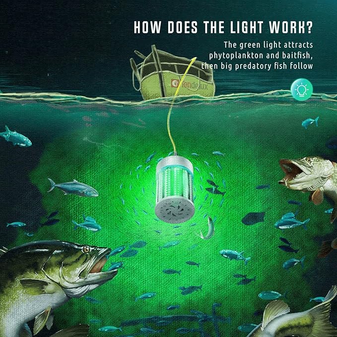 Ultra-Bright Underwater Fishing Light, 110V & 12V Green LED Submersible Light Attractants for Docks, Boats or Kayaks, IP68 Rated for Fresh & Salt Water (30ft Cable)