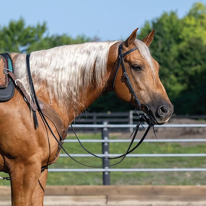 Weaver Leather Black Latigo Leather Headstall