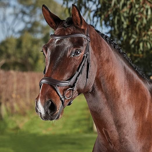 Collegiate ComFiTec Vogue Anatomical Bridle, Brown, Full