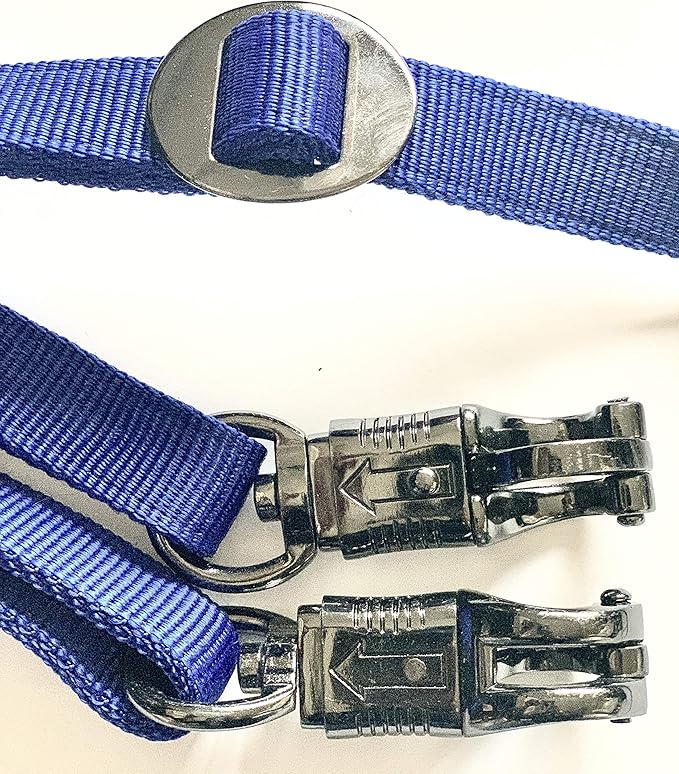 Majestic Ally Pack of 2, Double Thick Trailer Tie for Horse Haulage with Adjustable Buckle, Panic Snap and Bull Snap – 1 Inch by 36 Inch (Turquoise)
