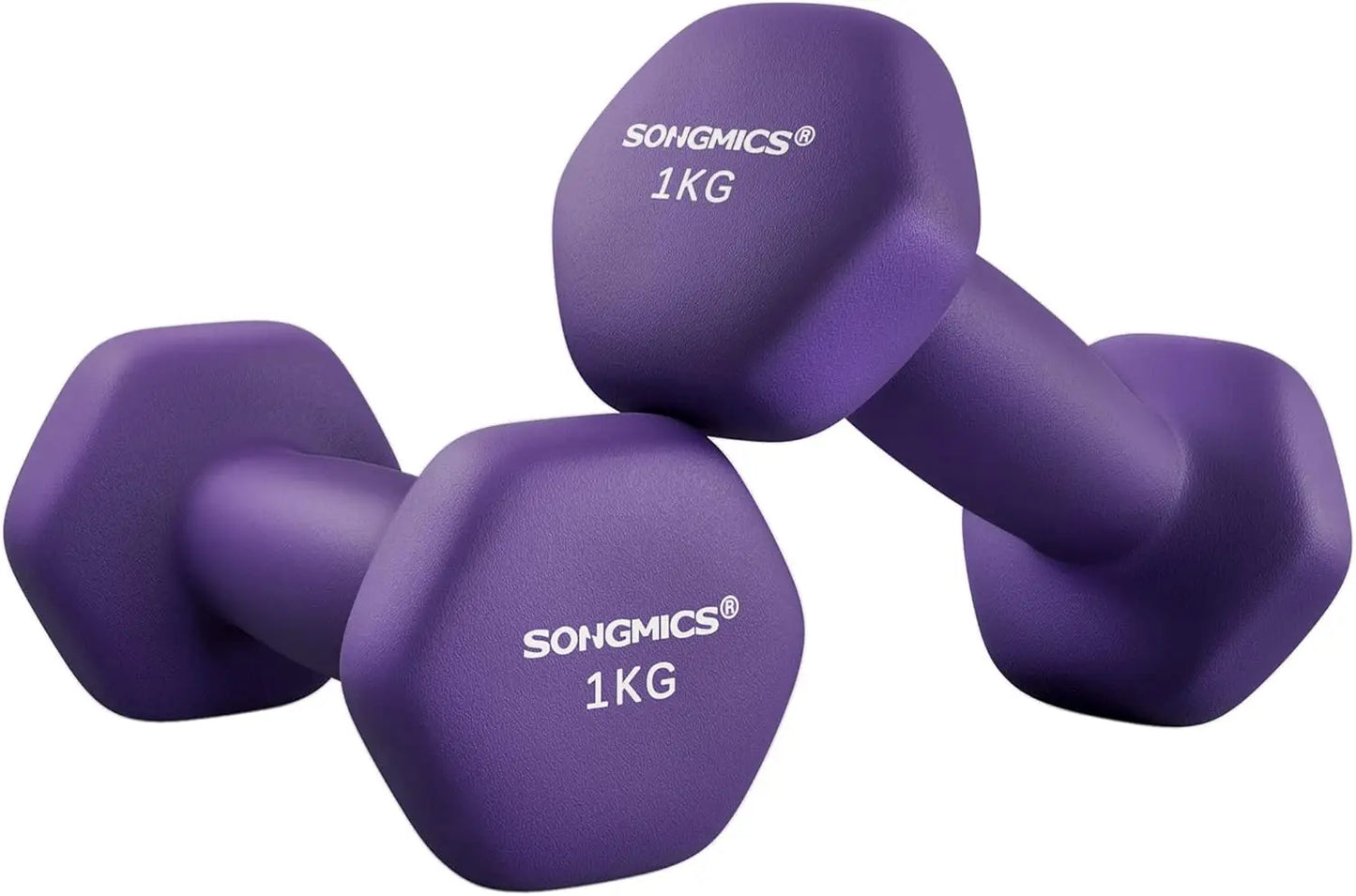 SONGMICS Dumbbells Set of 2 2 x 1kg Dumbbells Hexagon Neoprene Coating Strength Training Workout Fitness Training Home Ash