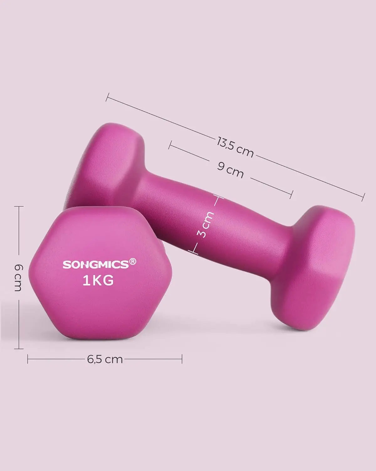 SONGMICS Dumbbells Set of 2 2 x 1kg Dumbbells Hexagon Neoprene Coating Strength Training Workout Fitness Training Home Ash