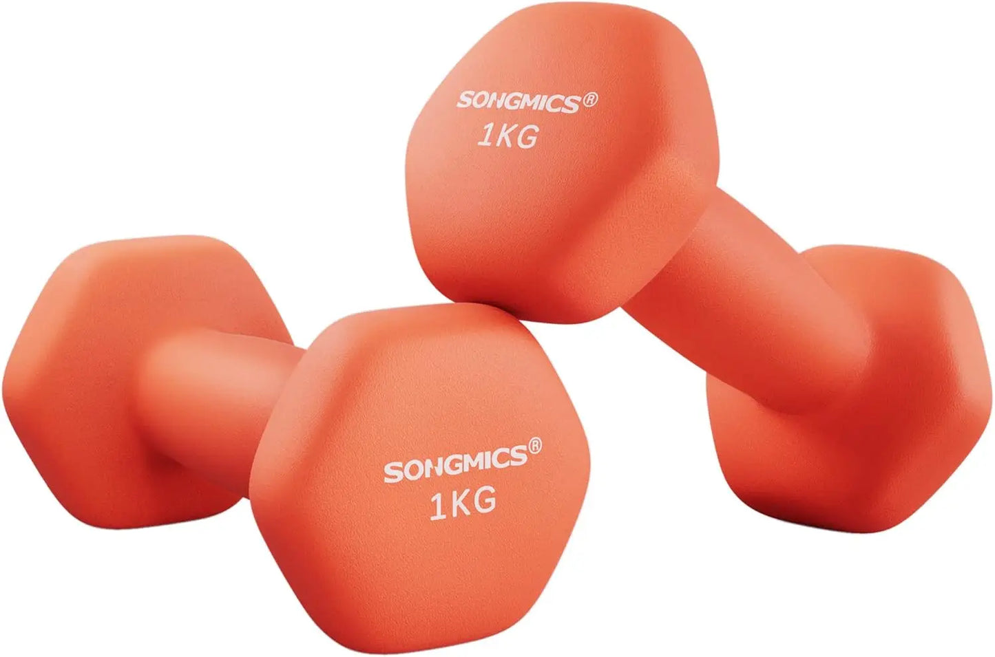 SONGMICS Dumbbells Set of 2 2 x 1kg Dumbbells Hexagon Neoprene Coating Strength Training Workout Fitness Training Home Ash